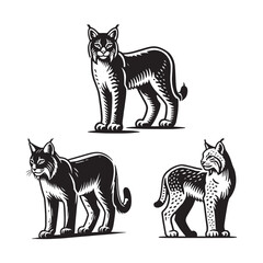 3 Set of Black Standing Bobcat Silhouettes Isolated on White Background