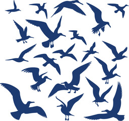 Blue silhouette of many seagulls flying.