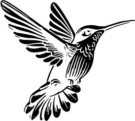 hummingbird in flight