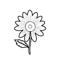 illustration of a flower