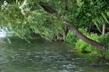Am Ufer des Maschsees in Hannover