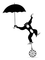 Equilibrist monkey balances on the unicycle with umbrella.  Circus. Cartoon monkey holds an umbrella and balances on unicycle. Black and white illustration  © bigmen