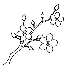 Sakura tree branch in full bloom, featuring detailed petals and leaves, drawn with fine outlines on a transparent backdrop to celebrate nature's beauty.