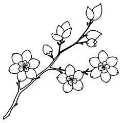 Delicate sakura branch with blooming flowers, outlined in soft lines, symbolizing spring's renewal. Transparent background for a clean, minimalist look.