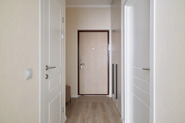 Modern Hallway Interior Design Featuring an Elegant Door and Inviting Aesthetic Appeal