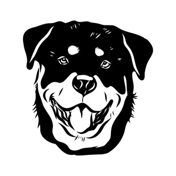 recommend clip art: Doodle One Line Drawn Rottweiler . Black Curve Rottweiler dog, vector sketch