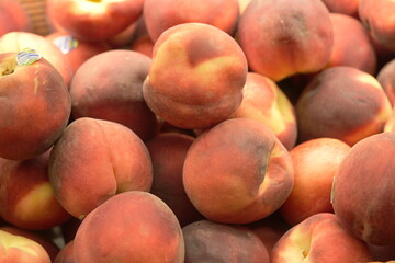 The peach (Prunus persica) is a beloved fruit known for its juicy sweetness and velvety skin. It is...