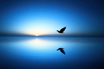 Fototapeta premium Silhouette of a bird in flight over a calm lake at dawn