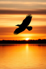 Silhouette of a bird in flight over a calm lake at dawn