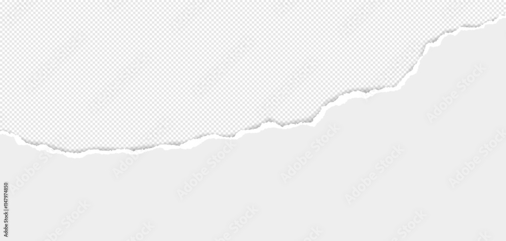 Poster white piece of paper with torn edges and soft shadow are on grey background for text or ad.