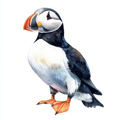 Naklejka premium Adorable Watercolor Puffin Character Illustration Perfect for Kids' Room Decor and Fun Art Projects