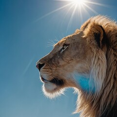 Fototapeta premium A lion’s silhouette against a bright white sun in a blue sky.