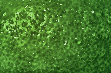 Green lime peel, zest background. Green citrus rind texture background for holidays and christmas.