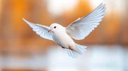 A white bird flying through the air with its wings spread