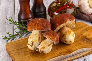 Raw natural wild porchini mushrooms