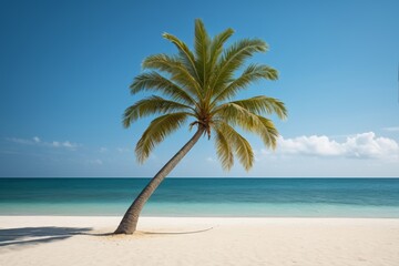Obraz premium arafed palm tree on a beach with a blue ocean in the background