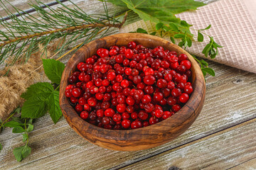 Natural organic wild forwst lingonberry