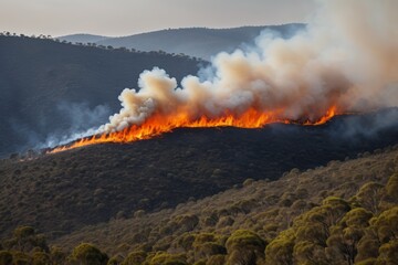 flames are seen from a hillside with a forest fire in the distance