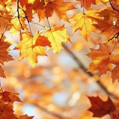 Vibrant Autumn Leaves Create a Warm Tapestry Against a Blurred Background in a Serene Forest Setting During the Fall Afternoon Light