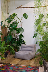 Obraz premium A Cozy Indoor Plant Nook Featuring Relaxing and Comfortable Seating for Every Occasion