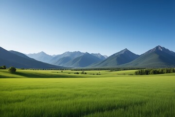 grassy field with mountains in the background