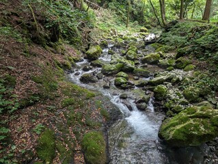road to the cave in shiga