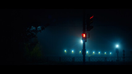 Traffic light on the street of a foggy night city © Anatoliy Novikov
