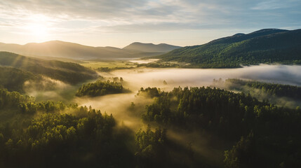 Morning sunlight illuminates misty valley and forest landscape at dawn. 
