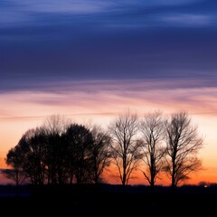 Naklejka premium sunset in the city