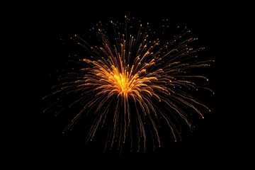 fireworks in the night sky
