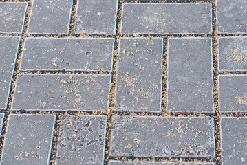 Paving slabs treated with sand and salt mixture, detailed view on sidewalk covered with deicing mixture, de-icing practices, surface stains, and winter hazard prevention.