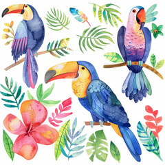 Colorful Watercolor Toucans and Tropical Leaves Illustration