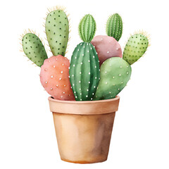 Vibrant Watercolor Cactus in Terracotta Pot Succulent Illustration