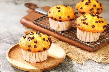 Freshly baked chocolate chip muffins on a wooden tray. Golden, fluffy muffins topped with melted chocolate chips, perfect for breakfast or dessert. Sweet, soft, and delicious bakery treat.