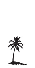 Palm Or Coconut Tree Silhouette Vector illustration