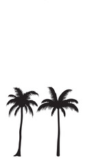 Obraz premium Palm Or Coconut Tree Silhouette Vector illustration