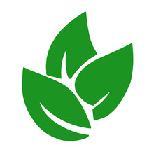 Green Leaf Vector