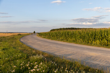 a narrow curve paved road in the summer at sunset