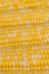 peeled corn cob with yellow and white seeds of different sizes and shades