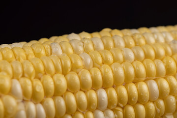 peeled corn cob with yellow and white seeds of different sizes and shades
