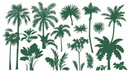 Diverse Collection of Tropical Palm Trees and Lush Green Plants for Natural Scenery and Eco-Friendly Design Projects