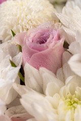 a bouquet of a large number of white flowers for a gift