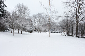 Obraz premium Helsinki Winter