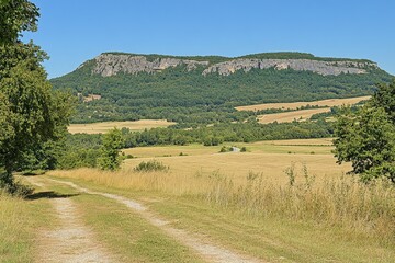 Mountain valley during sunset. Natural summer mountain landscape. Forest and mountans. Mountain-image... Beautiful simple AI generated image
