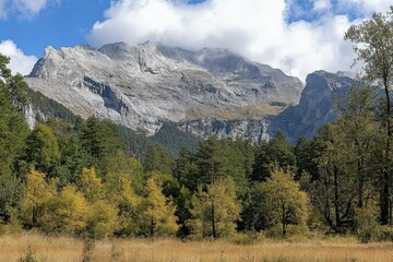 Fototapeta premium A high-altitude view of lush green highlands under a soft, cloudy sky. The foreground feature . Beautiful simple AI generated image