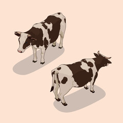 Isometric illustration cow and calf