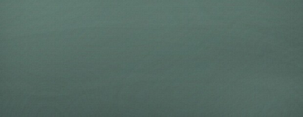 Background in green gradation color with noise. Dark soft green silvery abstract background. Color gradation.