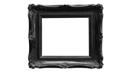 A black frame picture with a white background. The frame is ornate