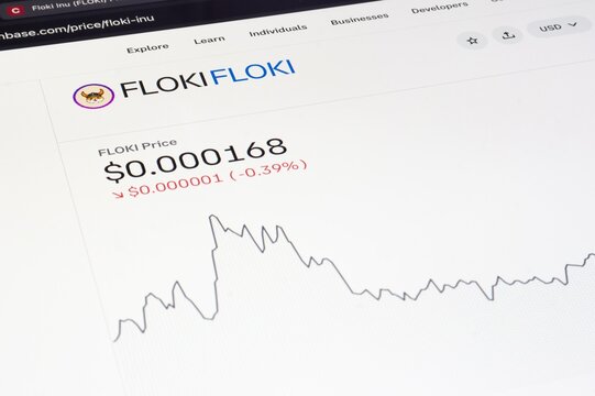 Price chart of Floki meme crypto currency on LCD screen