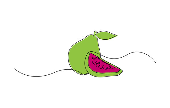 recommend clip art: Single continuous line drawing whole and half sliced healthy organic java guava for orchard logo identity, Single one line drawing fruits concept. Continuous line draw design vector illustration.